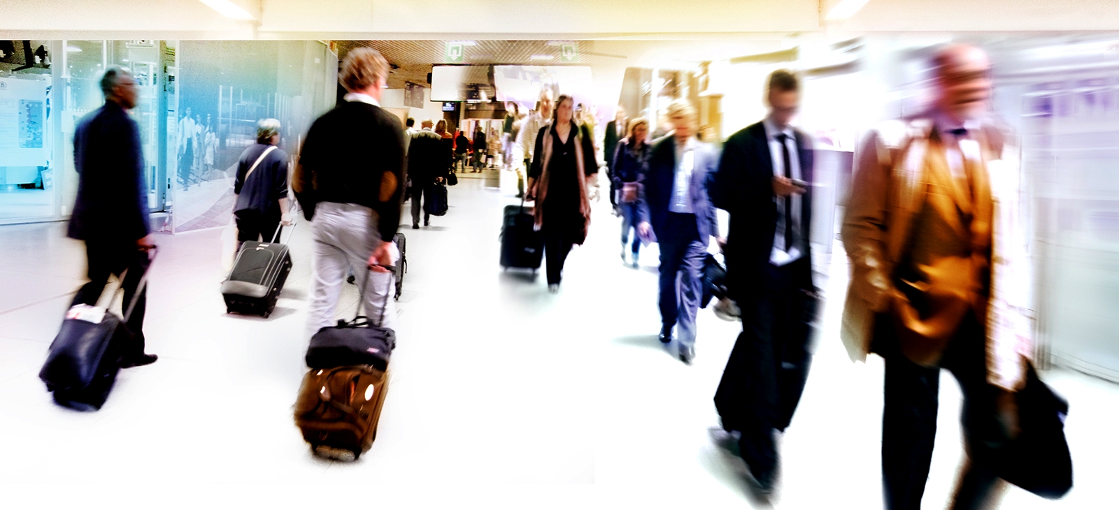 Travel Insurance