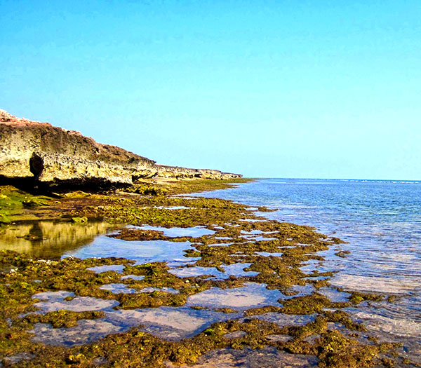 Lakes, Wetlands and Rivers