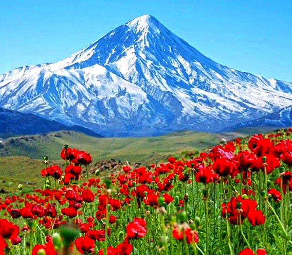 Altitudes and Summits