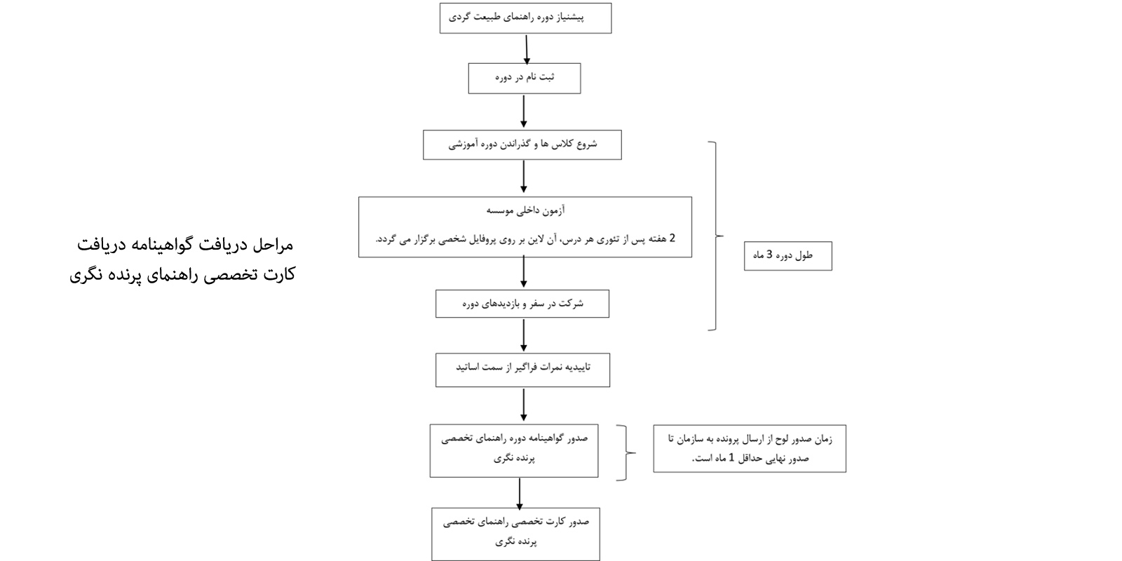 راهنمای تخصصی پرنده نگری